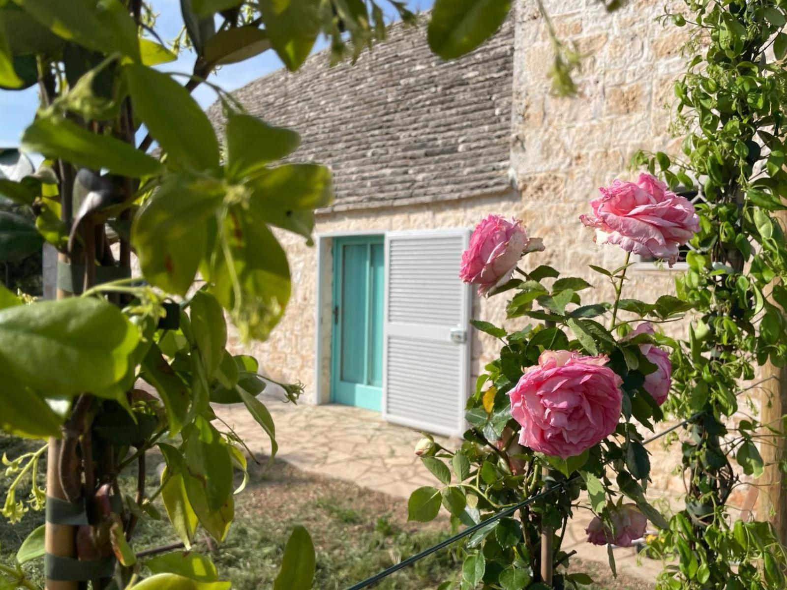 Giardino Dei Trulli Cummerse Faccia di Trippa di Monte エクステリア 写真